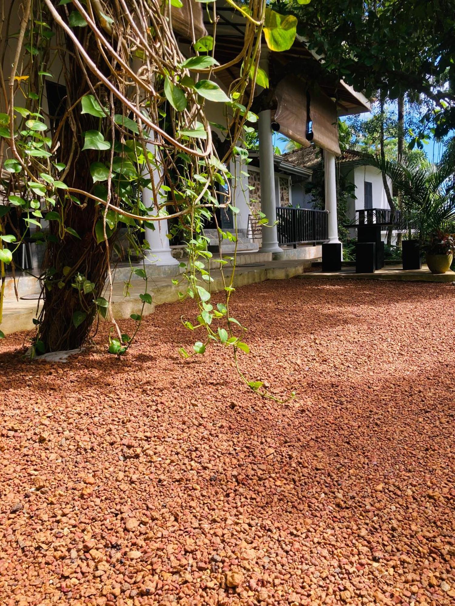 Wija House - อูนาวาตูนา ภายนอก รูปภาพ
